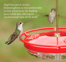 Load image into Gallery viewer, HummZinger - High View - 12 oz