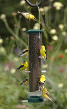 Load image into Gallery viewer, Nyjer Tube Feeder - Spruce