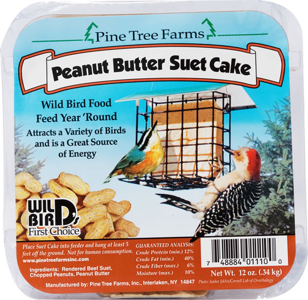 Peanut Butter Suet Cake