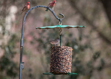 Load image into Gallery viewer, Cylinder Feeder Rain Guard