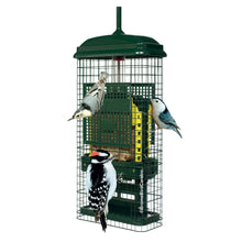 Load image into Gallery viewer, Squirrel Buster Suet Feeder