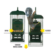 Load image into Gallery viewer, Squirrel Buster Suet Feeder