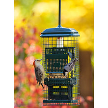 Load image into Gallery viewer, Squirrel Buster Suet Feeder
