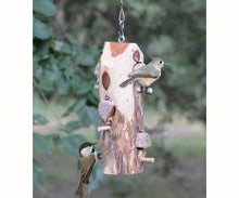Load image into Gallery viewer, Suet Log Feeder - With Perches