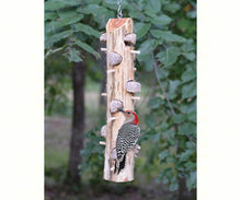 Load image into Gallery viewer, Suet Log Feeder - With Perches