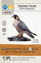 Load image into Gallery viewer, Wingspan Board Game
