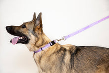 Load image into Gallery viewer, FAVORITE CHILD LEASH
