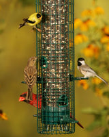 Load image into Gallery viewer, Squirrel Buster Classic
