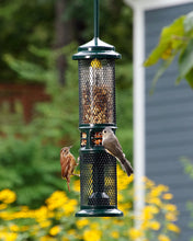 Load image into Gallery viewer, Squirrel Buster Nut Feeder
