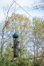 Load image into Gallery viewer, BirdsUP Stainless S-Hook 15-Inch
