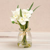 Jonquils Vase