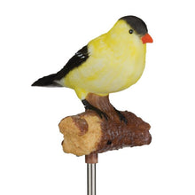 Load image into Gallery viewer, Songbird Solar/Sound Stake - Gold Finch
