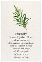 Load image into Gallery viewer, Rosemary Condolence Card
