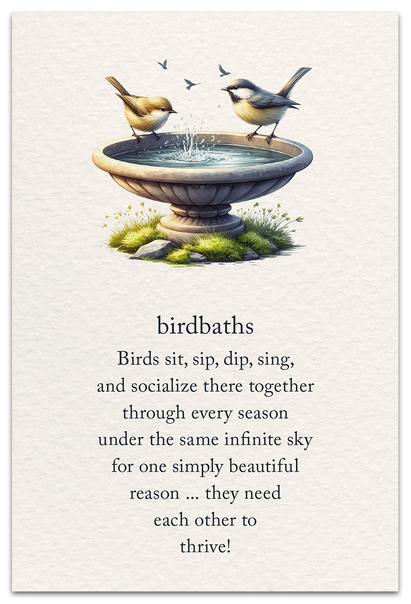 Birdbaths Card