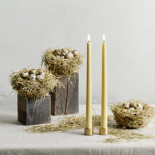 Load image into Gallery viewer, Light Candleholder Taper, Matte Brass, 2-pack
