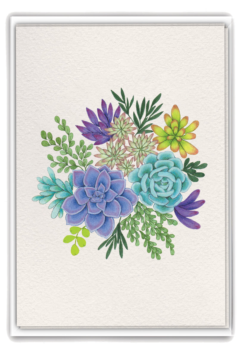 Succulents Boxed Notes - 12 Count