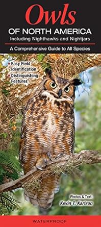 Owls of North America including Nighthawks and Nightjars Pamphlet