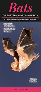Bats of Eastern North America: A Comprehensive Guide to All Species Pamphlet