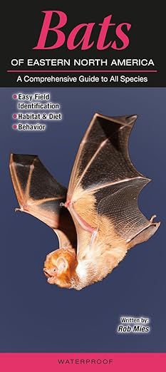 Bats of Eastern North America: A Comprehensive Guide to All Species Pamphlet