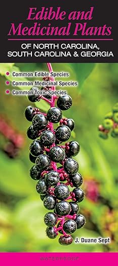 Edible and Medicinal Plants of North Carolina, South Carolina and Georgia Pamphlet