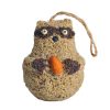 Woodland Friends Racoon Bird Seed Hanger