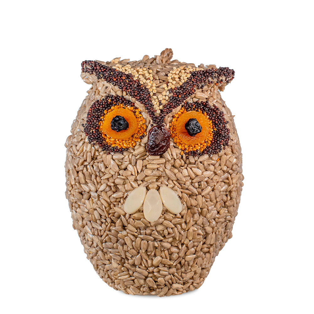 Whoo-lio Owl Bird Seed Hanger