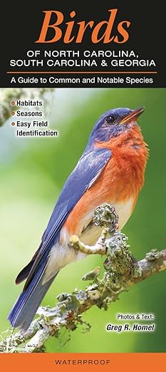 Birds of North Carolina, South Carolina & Georgia: A Guide to Common & Notable Species Pamphlet
