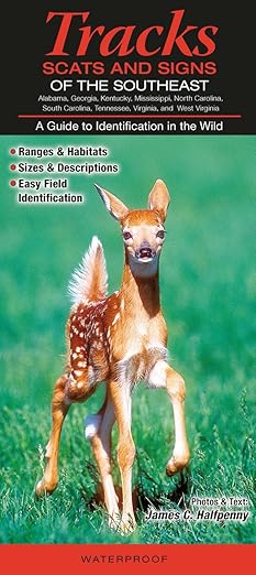 Mammals of the Southeast Tracks, Scats and Signs: Alabama, Georgia, Kentucky, Mississippi, North Carolina, South Carolina, Tennessee, Virginia, and West Pamphlet