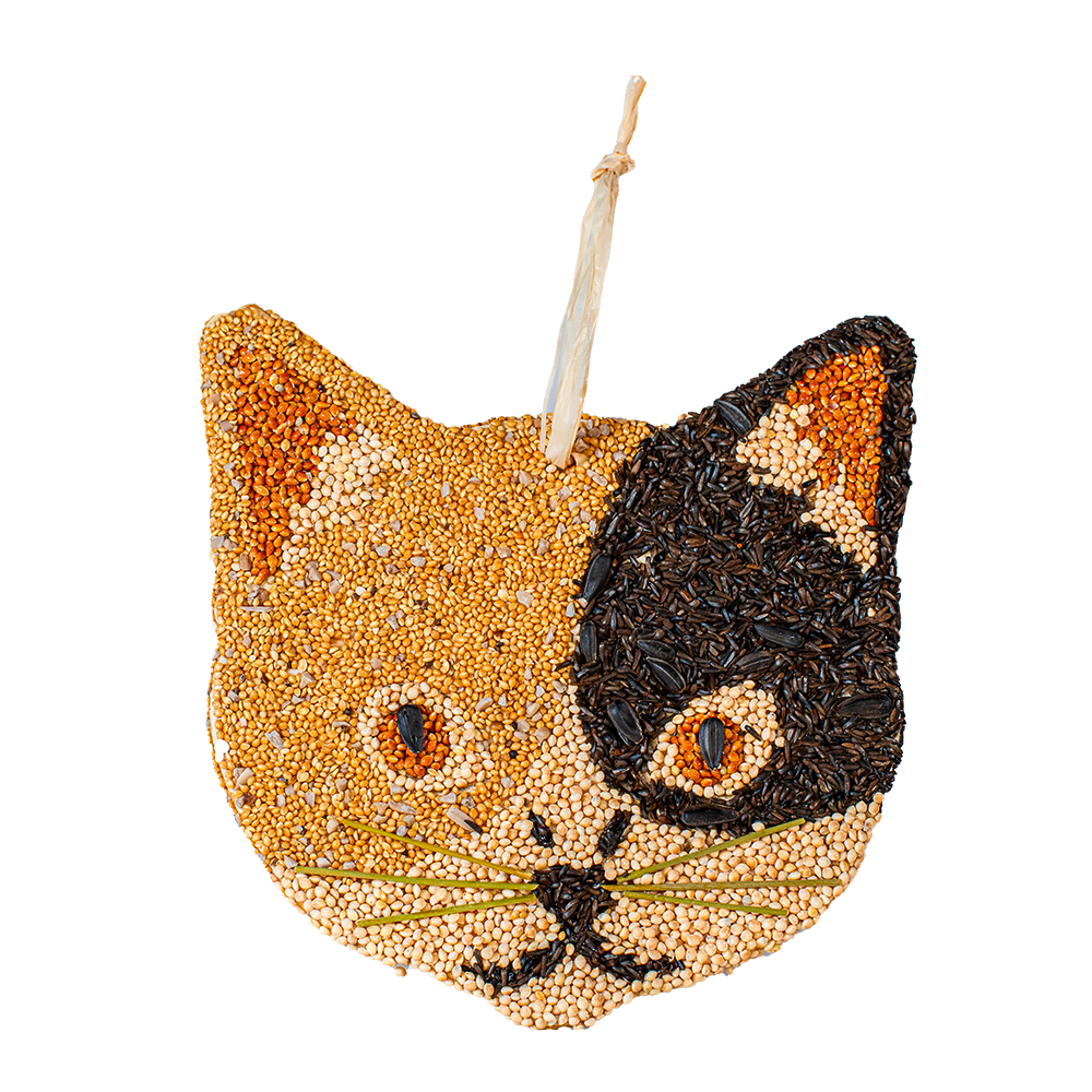 Cat Cookie Assortment