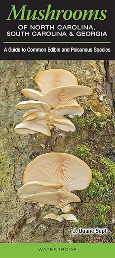 Mushrooms of North Carolina, South Carolina and Georgia: A Guide to Common Edible and Poisonous Species Pamphlet