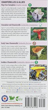 Load image into Gallery viewer, Mushrooms of North Carolina, South Carolina and Georgia: A Guide to Common Edible and Poisonous Species Pamphlet

