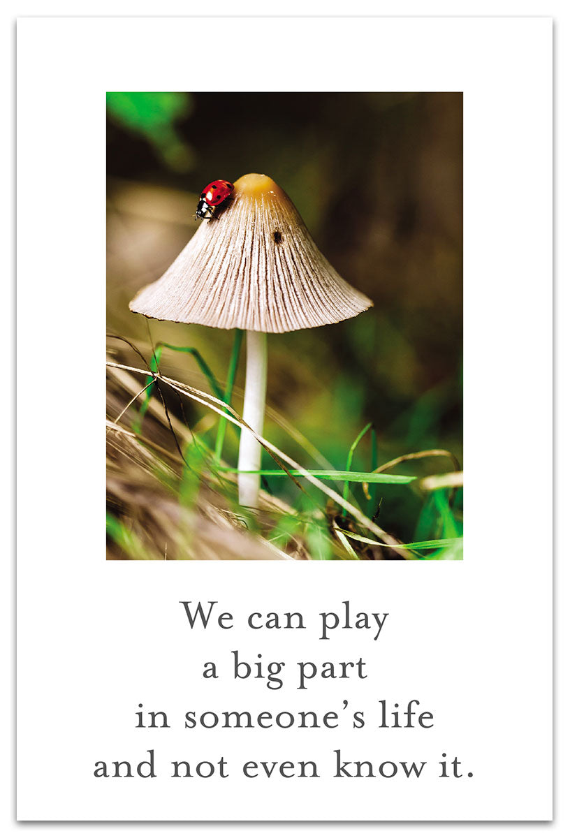 Lady Bug on Mushroom Card