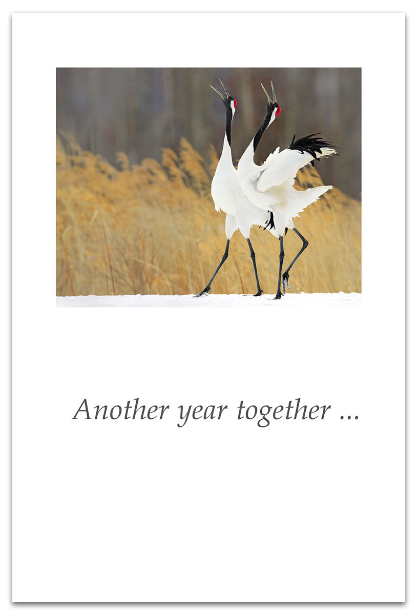 Dancing Red-Crowned Cranes Anniversary Card