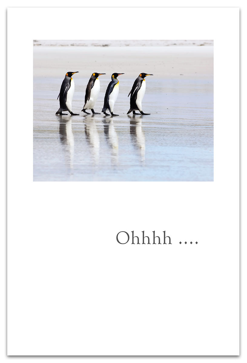 Four King Penguins Friendship Card