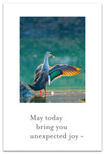 Load image into Gallery viewer, Wading Duck Birthday Card
