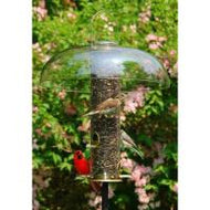 Seed Tube Large Antique Brass Q
