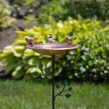 Load image into Gallery viewer, Bird Bath with Tree Pole - one Bird
