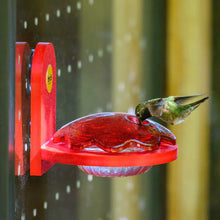 Load image into Gallery viewer, Window Mount Hummingbird Feeder in Red Recycled Plastic
