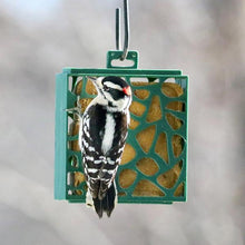 Load image into Gallery viewer, Green Recycled Plastic Suet Cage
