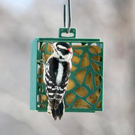 Green Recycled Plastic Suet Cage