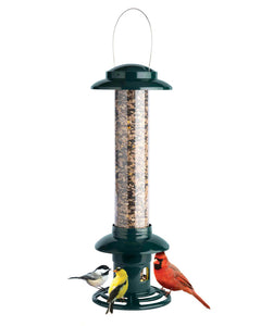 Squirrel Buster Evolution