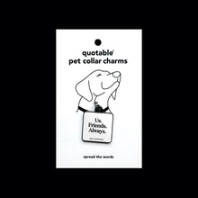 Load image into Gallery viewer, Us. Friends. Always. Pet Collar Charm
