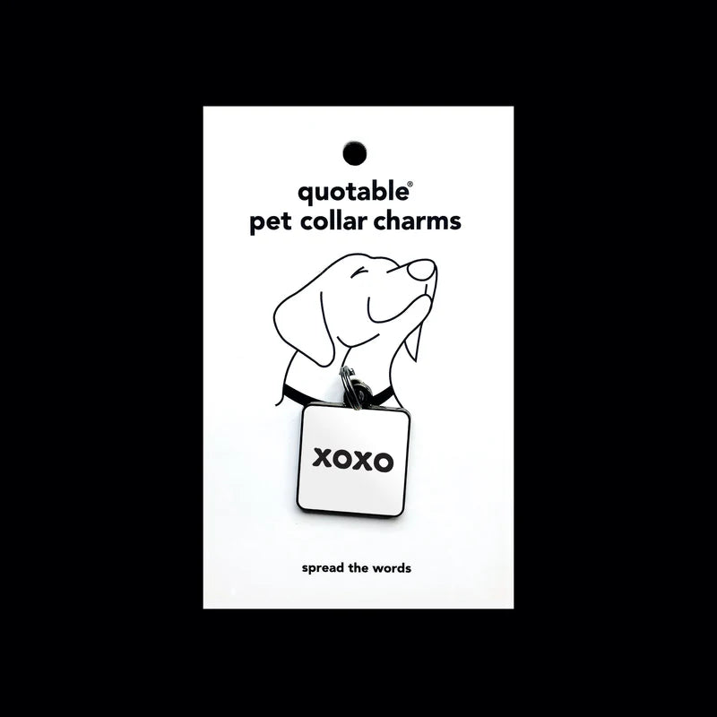 XOXO Pet Collar Charm