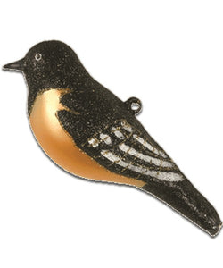 Baltimore Oriole