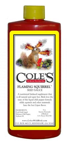 Flaming Squirrel 16oz