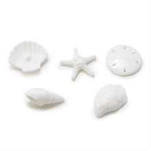 Load image into Gallery viewer, Shell Figurine in Matchbox

