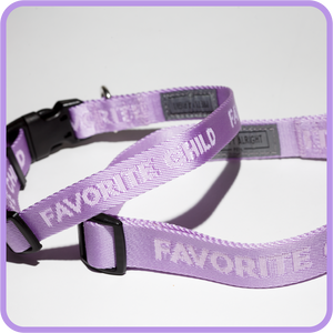 Favorite Child Dog Collar Medium Lavender
