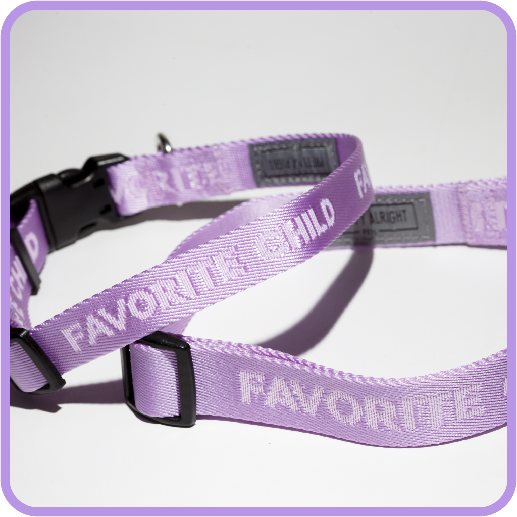 Favorite Child Dog Collar Medium Lavender