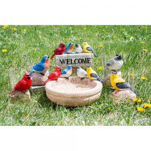 Backyard Birds Bath/Feeder