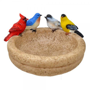 Backyard Birds Bath/Feeder